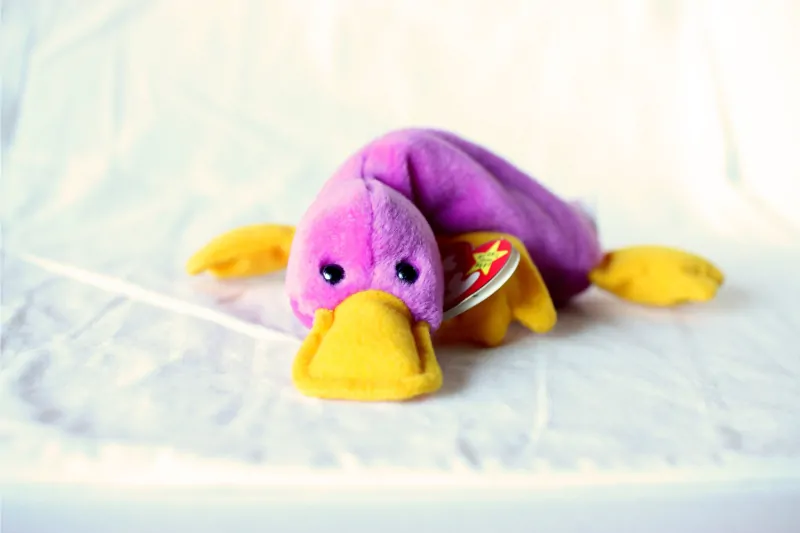 Patti Platypus.webp Patti the Platypus rare beanie babies