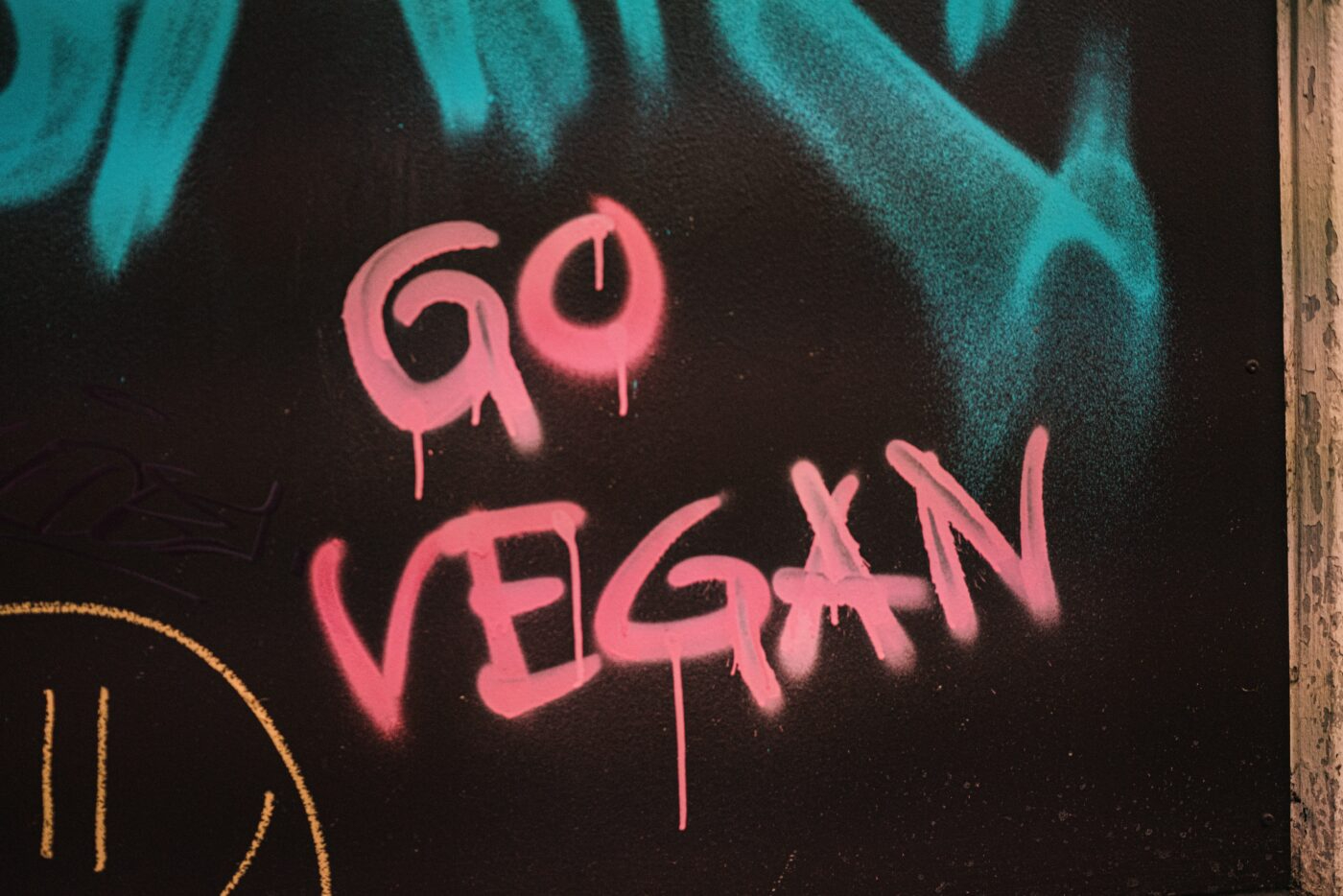 How To Transition Into A More Vegan Lifestyle