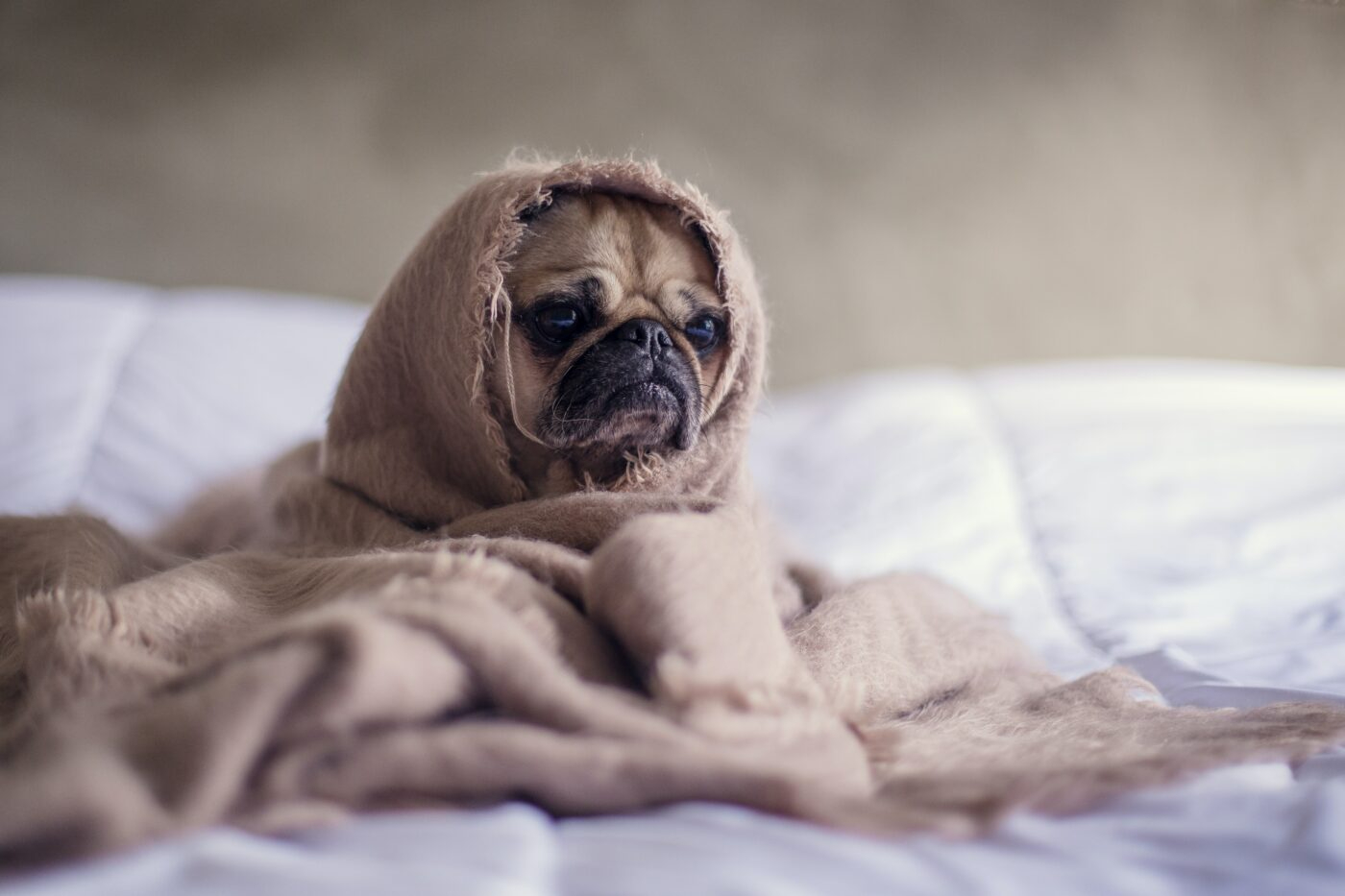 Survive The Winter Blues With These Tips And Tricks